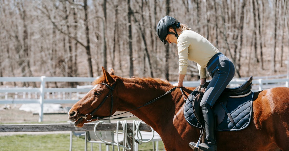 Woman riding a horse in a paddock surrounded by trees on a sunny day.